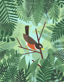 Robin - Art Print - Snow Alligator by Jason Blower